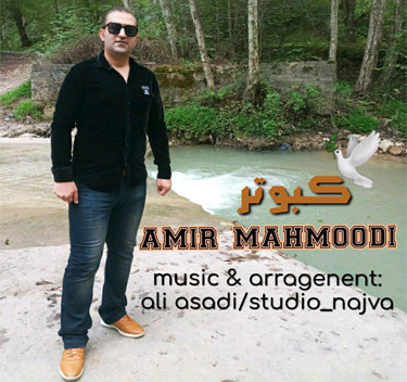 امیر محمودی کبوتر
